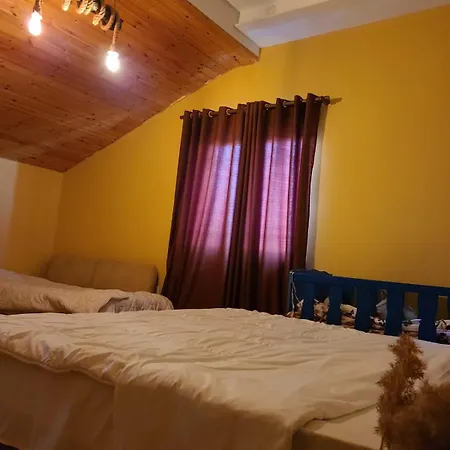 Guest house Elear Korce