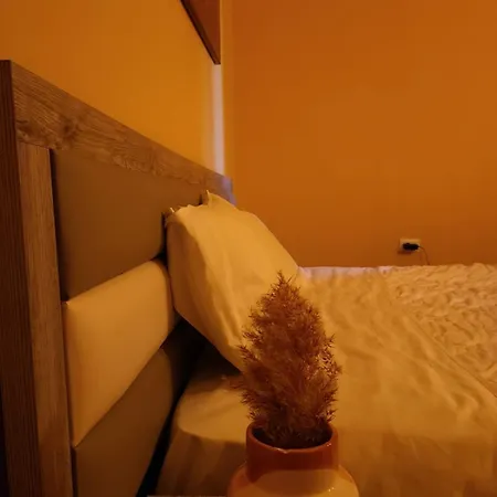 Elear Guest house Korce