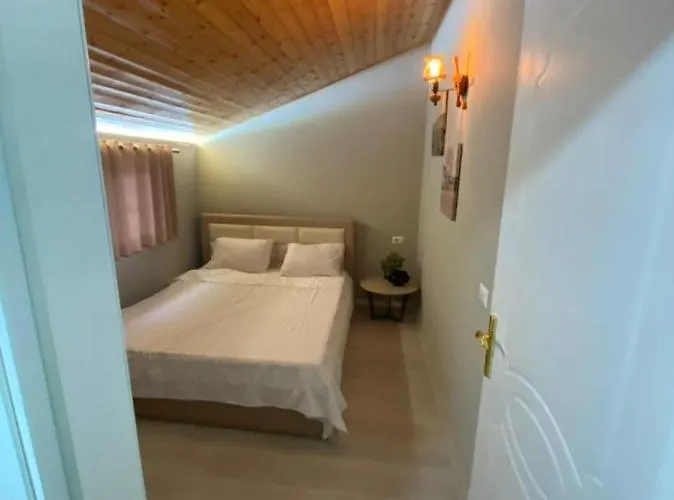 Guest house Elear 3*