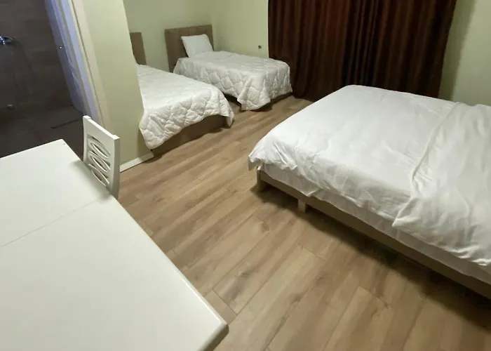 Guest house Elear 3*